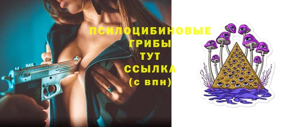 эйфоретик Алзамай
